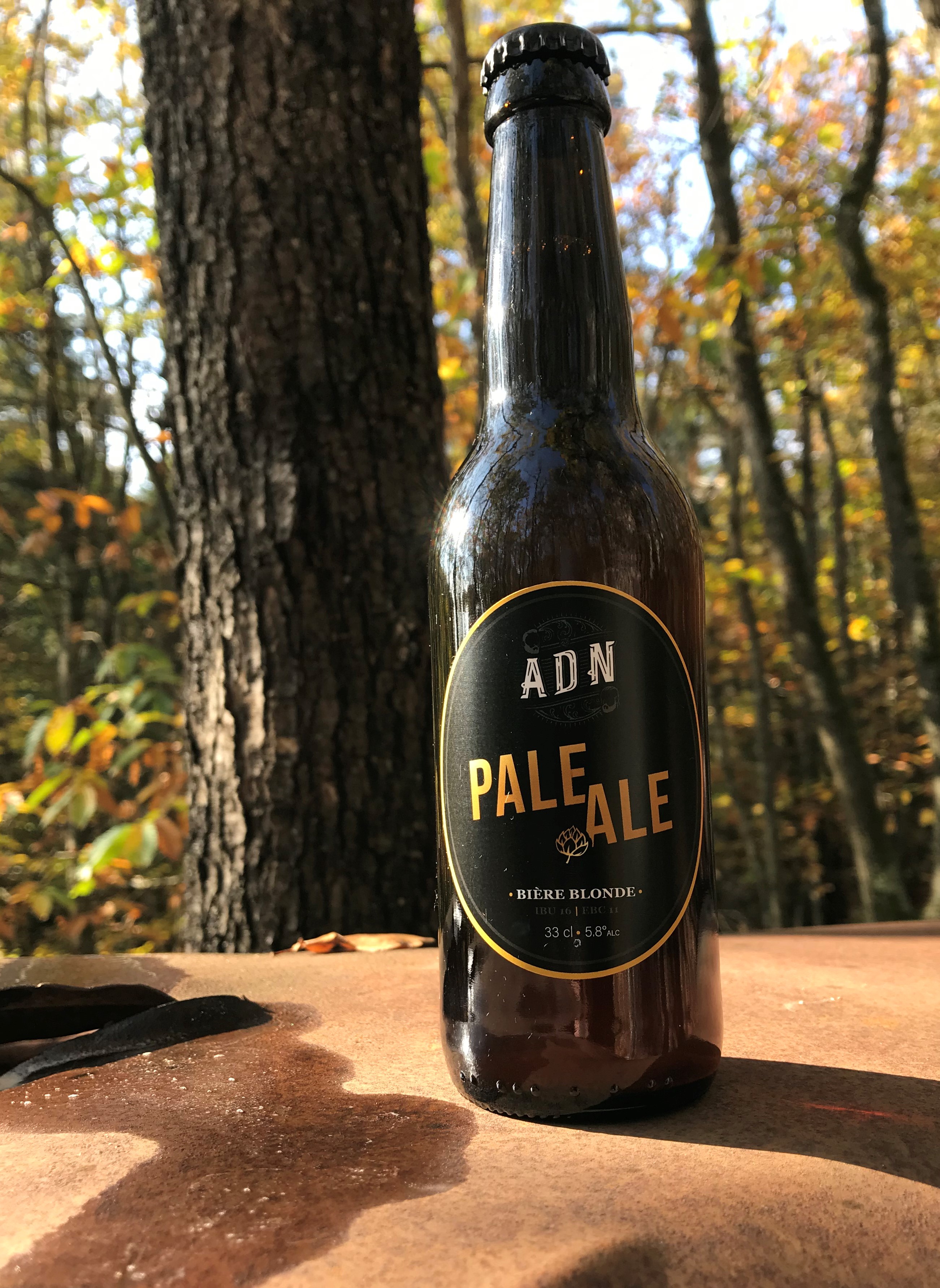 Bière ADN Pale ale