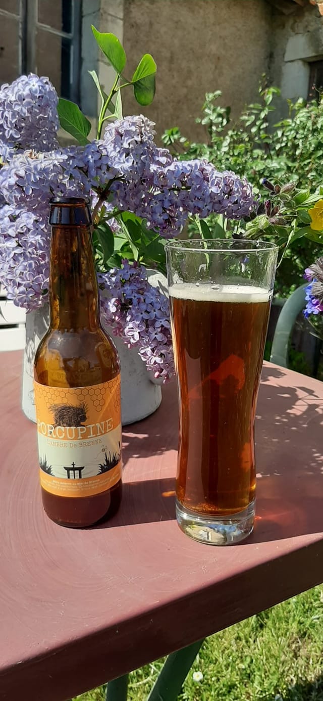 Bière Ambre de Brenne