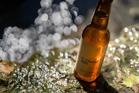 Bière blonde de la Brasserie des Sources de l'Ouche